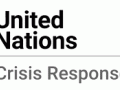 India joins UN's Global Crisis Response Group - Hindi News | India joins UN's Global Crisis Response Group | Latest national News at Lokmattimes.com