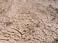 Drought conditions likely to worsen in Pak's Balochistan, Sindh due to less rainfall - Hindi News | Drought conditions likely to worsen in Pak's Balochistan, Sindh due to less rainfall | Latest international News at Lokmattimes.com