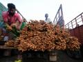 Erode's turmeric farmers to go digital with e-NAM for better price realisation - Hindi News | Erode's turmeric farmers to go digital with e-NAM for better price realisation | Latest national News at Lokmattimes.com