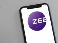 Zee Entertainment stock plunges after company admitted to insolvency proceedings - Hindi News | Zee Entertainment stock plunges after company admitted to insolvency proceedings | Latest international News at Lokmattimes.com