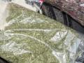 Delhi: Drug peddler held, over 12 kgs of cannabis recovered - Hindi News | Delhi: Drug peddler held, over 12 kgs of cannabis recovered | Latest national News at Lokmattimes.com