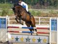 Trials to select show jumping team for 2022 Asian Games to be held in Mumbai - Hindi News | Trials to select show jumping team for 2022 Asian Games to be held in Mumbai | Latest other-sports News at Lokmattimes.com