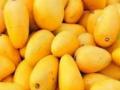 'Kisan Rail' carrying mangoes chugs to Delhi from K'taka - Hindi News | 'Kisan Rail' carrying mangoes chugs to Delhi from K'taka | Latest international News at Lokmattimes.com