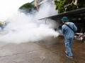 Vietnam reports 260,000 dengue cases, 102 deaths - Hindi News | Vietnam reports 260,000 dengue cases, 102 deaths | Latest health News at Lokmattimes.com