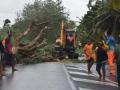 Tropical cyclone Cody causes huge infrastructure damage in Fiji - Hindi News | Tropical cyclone Cody causes huge infrastructure damage in Fiji | Latest politics News at Lokmattimes.com