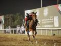 India to host equestrian tent pegging World Cup qualifiers - Hindi News | India to host equestrian tent pegging World Cup qualifiers | Latest other-sports News at Lokmattimes.com