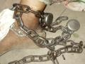 'Parents had asked teacher to keep boys chained' - Hindi News | 'Parents had asked teacher to keep boys chained' | Latest national News at Lokmattimes.com