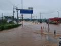 3 dead as heavy rain lashes S.Korea - Hindi News | 3 dead as heavy rain lashes S.Korea | Latest international News at Lokmattimes.com