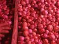 Onion farmers worried over a possible export ban as prices rise - Hindi News | Onion farmers worried over a possible export ban as prices rise | Latest national News at Lokmattimes.com