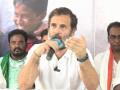 New Congress president will decide my role: Rahul - Hindi News | New Congress president will decide my role: Rahul | Latest politics News at Lokmattimes.com