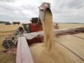 Ukraine cancels licensing of wheat exports - Hindi News | Ukraine cancels licensing of wheat exports | Latest international News at Lokmattimes.com