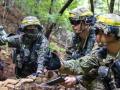 S.Korea's special troops join UN peacekeeping exercise in Mongolia - Hindi News | S.Korea's special troops join UN peacekeeping exercise in Mongolia | Latest politics News at Lokmattimes.com