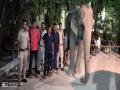 Delhi: Missing for over two months Elephant Lakshmi rescued, mahout arrested - Hindi News | Delhi: Missing for over two months Elephant Lakshmi rescued, mahout arrested | Latest national News at Lokmattimes.com