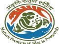 MoEF&CC sends letter to States/UTs advising immediate restriction on human-animal interaction - Hindi News | MoEF&CC sends letter to States/UTs advising immediate restriction on human-animal interaction | Latest national News at Lokmattimes.com