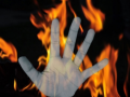 Newly-wed woman, sister-in-law charred to death in refrigerator blast in Bihar - Hindi News | Newly-wed woman, sister-in-law charred to death in refrigerator blast in Bihar | Latest national News at Lokmattimes.com