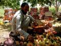 Taliban forcing Afghan farmers in distress to pay 'zakat' tax - Hindi News | Taliban forcing Afghan farmers in distress to pay 'zakat' tax | Latest international News at Lokmattimes.com