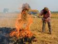 Haryana's stubble burning efforts lauded - Hindi News | Haryana's stubble burning efforts lauded | Latest politics News at Lokmattimes.com