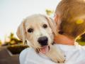 Dogs can sniff Covid-19 infections faster, more accurately - Hindi News | Dogs can sniff Covid-19 infections faster, more accurately | Latest international News at Lokmattimes.com
