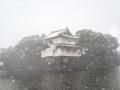 Record snowfall in Japan - Hindi News | Record snowfall in Japan | Latest international News at Lokmattimes.com