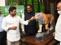 Tiger numbers in Andhra rise from 47 to 63 - Hindi News | Tiger numbers in Andhra rise from 47 to 63 | Latest international News at Lokmattimes.com