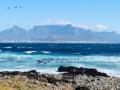 Your guide to a virtual South Africa tour - Hindi News | Your guide to a virtual South Africa tour | Latest lifestyle News at Lokmattimes.com