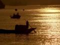 IMD issues advisory to fishermen over rough Arabian sea - Hindi News | IMD issues advisory to fishermen over rough Arabian sea | Latest national News at Lokmattimes.com