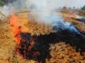 18 UP districts fail to check stubble burning - Hindi News | 18 UP districts fail to check stubble burning | Latest national News at Lokmattimes.com