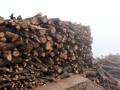 Death becomes expensive as wood prices soar in Lucknow - Hindi News | Death becomes expensive as wood prices soar in Lucknow | Latest national News at Lokmattimes.com