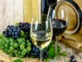 Learning wine etiquette - Hindi News | Learning wine etiquette | Latest lifestyle News at Lokmattimes.com