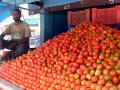 TN to sell tomatoes in 300 more PDS shops in state - Hindi News | TN to sell tomatoes in 300 more PDS shops in state | Latest politics News at Lokmattimes.com