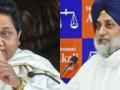 Akali Dal, BSP stitch alliance in Punjab - Hindi News | Akali Dal, BSP stitch alliance in Punjab | Latest politics News at Lokmattimes.com