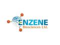Enzene Biosciences Ltd. obtains marketing authorization for its first biosimilar molecule in India - Hindi News | Enzene Biosciences Ltd. obtains marketing authorization for its first biosimilar molecule in India | Latest business News at Lokmattimes.com