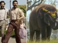 RS greets teams of RRR & The Elephant Whisperer - Hindi News | RS greets teams of RRR & The Elephant Whisperer | Latest politics News at Lokmattimes.com