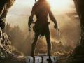 'Prey' makers did deep-dive research to present true picture of Comanche tribe - Hindi News | 'Prey' makers did deep-dive research to present true picture of Comanche tribe | Latest entertainment News at Lokmattimes.com