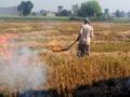Punjab appoints 8,500 nodal officers to monitor stubble burning - Hindi News | Punjab appoints 8,500 nodal officers to monitor stubble burning | Latest international News at Lokmattimes.com