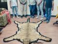 Royal Bengal tiger skin, pair of black buck antlers seized in Kolkata - Hindi News | Royal Bengal tiger skin, pair of black buck antlers seized in Kolkata | Latest national News at Lokmattimes.com