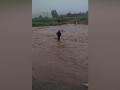 18 tribal hamlets of Munchangiputtu mandal affected by heavy rains - Hindi News | 18 tribal hamlets of Munchangiputtu mandal affected by heavy rains | Latest national News at Lokmattimes.com