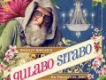 'Gulabo Sitabo' to stream with subtitles in 15 languages - Hindi News | 'Gulabo Sitabo' to stream with subtitles in 15 languages | Latest entertainment News at Lokmattimes.com