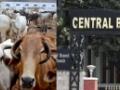 Cattle scam: Sixth mysterious lottery award comes under CBI scanner - Hindi News | Cattle scam: Sixth mysterious lottery award comes under CBI scanner | Latest politics News at Lokmattimes.com