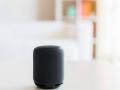 Apple adds Dutch voice recognition support for Siri in HomePod 15.4 Beta - Hindi News | Apple adds Dutch voice recognition support for Siri in HomePod 15.4 Beta | Latest technology News at Lokmattimes.com