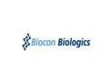 Biocon Biologics to offer 15 pc stake to Serum Institute Life Sciences at valuation of USD 4.9 billion - Hindi News | Biocon Biologics to offer 15 pc stake to Serum Institute Life Sciences at valuation of USD 4.9 billion | Latest national News at Lokmattimes.com