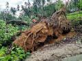 Assam: Eight killed, over 20,000 affected in 592 villages due to heavy rainfall, severe storm - Hindi News | Assam: Eight killed, over 20,000 affected in 592 villages due to heavy rainfall, severe storm | Latest national News at Lokmattimes.com