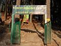 India's first forest healing centre inaugurated in Uttrakand's Ranikhet - Hindi News | India's first forest healing centre inaugurated in Uttrakand's Ranikhet | Latest national News at Lokmattimes.com