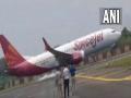 Delhi-bound SpiceJet flight returns back after bird hit, alternate plane being arranged - Hindi News | Delhi-bound SpiceJet flight returns back after bird hit, alternate plane being arranged | Latest national News at Lokmattimes.com