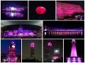 Kolkata's iconic spots turn pink to welcome historic Test - Hindi News | Kolkata's iconic spots turn pink to welcome historic Test | Latest cricket News at Lokmattimes.com