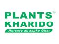 "We are on a green mission", says founder of Plants Kharido - Hindi News | "We are on a green mission", says founder of Plants Kharido | Latest business News at Lokmattimes.com