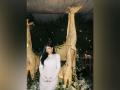 Kylie Jenner gives sneak peek into her giraffe-themed baby shower party - Hindi News | Kylie Jenner gives sneak peek into her giraffe-themed baby shower party | Latest entertainment News at Lokmattimes.com