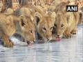 Javadekar elated after installation of 400 water points in Gujarat's Gir National Park - Hindi News | Javadekar elated after installation of 400 water points in Gujarat's Gir National Park | Latest national News at Lokmattimes.com