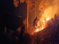 Champawat Forest Fire: NGT directs Uttarakhand Govt to take action for rehabilitation, restoration - Hindi News | Champawat Forest Fire: NGT directs Uttarakhand Govt to take action for rehabilitation, restoration | Latest national News at Lokmattimes.com