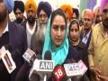 Harsimrat Kaur Badal says govt failed to solve farmers' issue - Hindi News | Harsimrat Kaur Badal says govt failed to solve farmers' issue | Latest national News at Lokmattimes.com